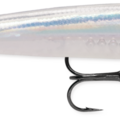 Glass Minnow