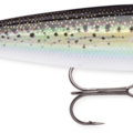 Holographic Silver