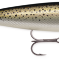 Speckled Trout