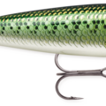 Baby Bass