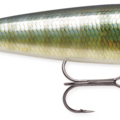 Bluegill