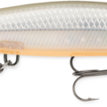 Bone