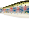 Rainbow Trout