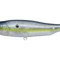 GP Sexy Shad