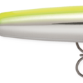 Bone