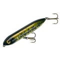 Black Shiner