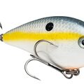 Black Back Chartreuse