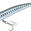 Metallic Rainbow Trout